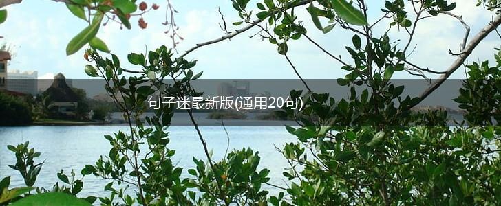 句子迷最新版(通用20句),第1张