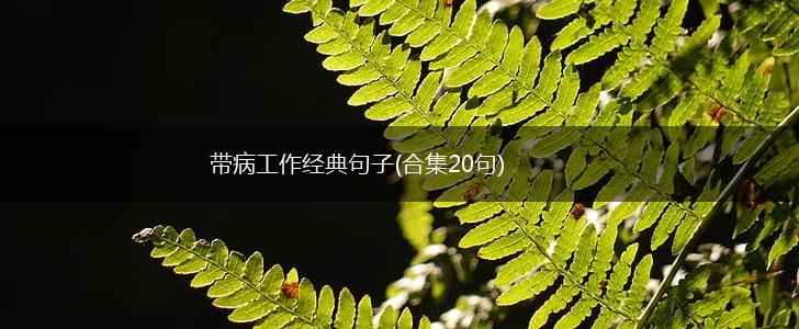 带病工作经典句子(合集20句),第1张