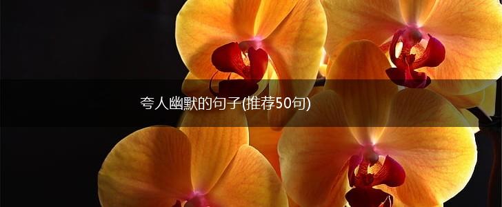 夸人幽默的句子(推荐50句),第1张