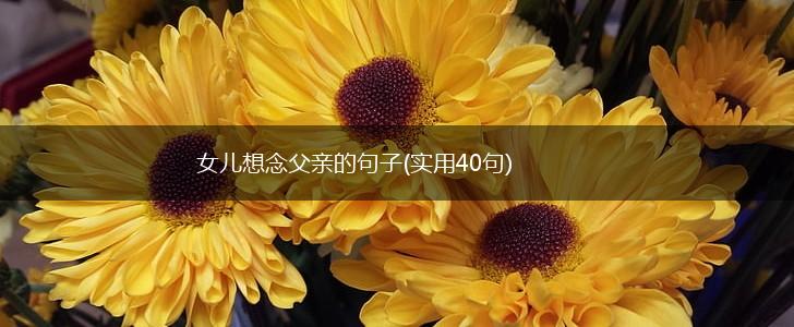 女儿想念父亲的句子(实用40句),第1张