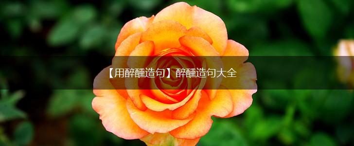 【用醉醺造句】醉醺造句大全,第1张