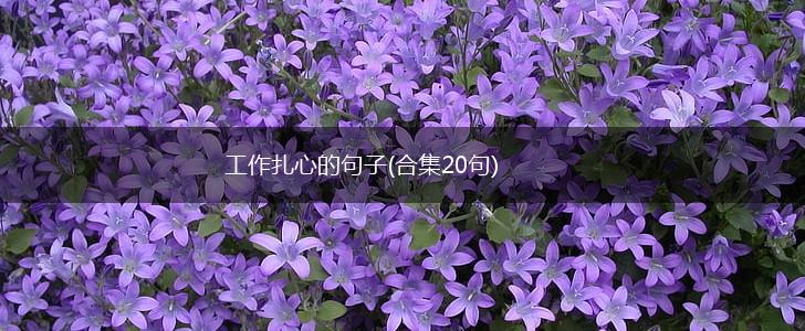 工作扎心的句子(合集20句),第1张