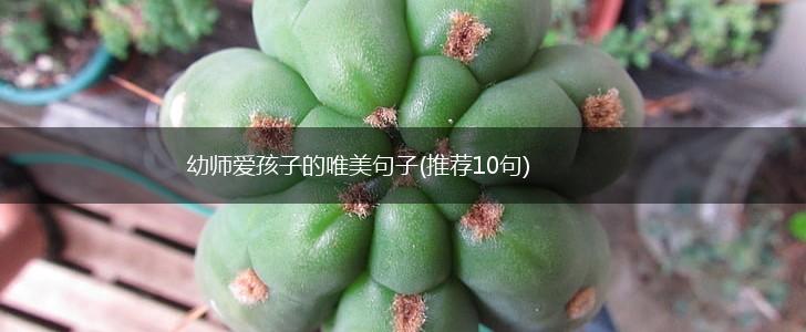 幼师爱孩子的唯美句子(推荐10句),第1张