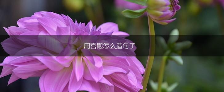 用宫殿怎么造句子,第1张 用宫殿怎么造句子,第1张