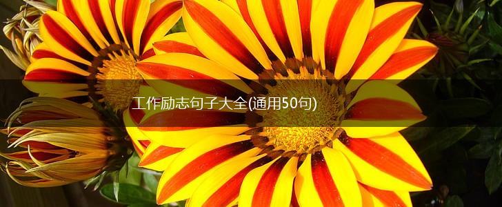 工作励志句子大全(通用50句),第1张