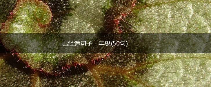 已经造句子一年级(50句),第1张