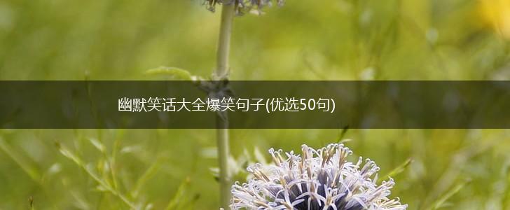 幽默笑话大全爆笑句子(优选50句),第1张