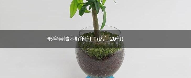 形容亲情不好的句子(热门20句),第1张