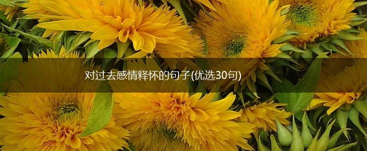 对过去感情释怀的句子(优选30句),第1张