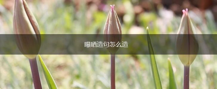 曝晒造句怎么造,第1张