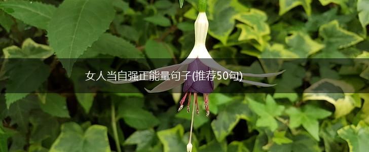 女人当自强正能量句子(推荐50句),第1张