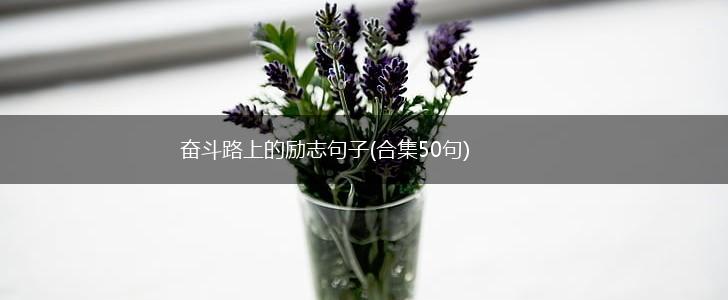 奋斗路上的励志句子(合集50句),第1张