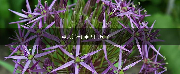 坐大造句 坐大的句子,第1张