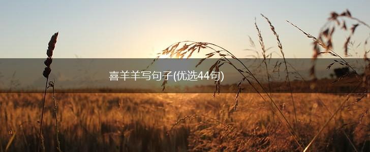 喜羊羊写句子(优选44句),第1张