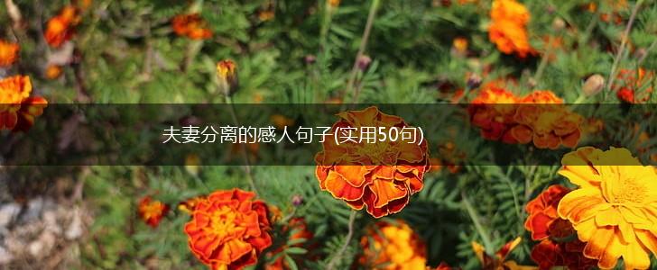 夫妻分离的感人句子(实用50句),第1张