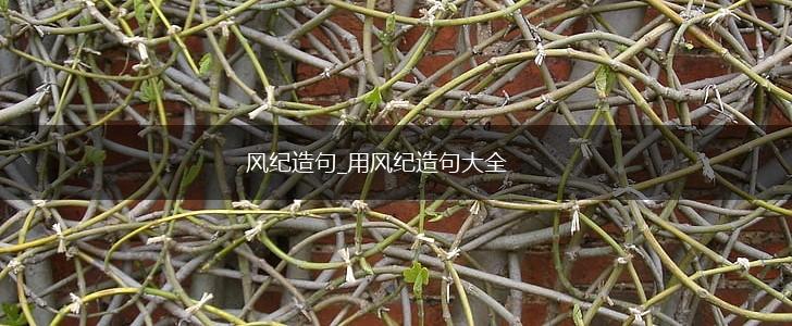 风纪造句_用风纪造句大全,第1张 风纪造句_用风纪造句大全,第1张
