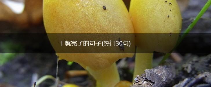 干就完了的句子(热门30句),第1张