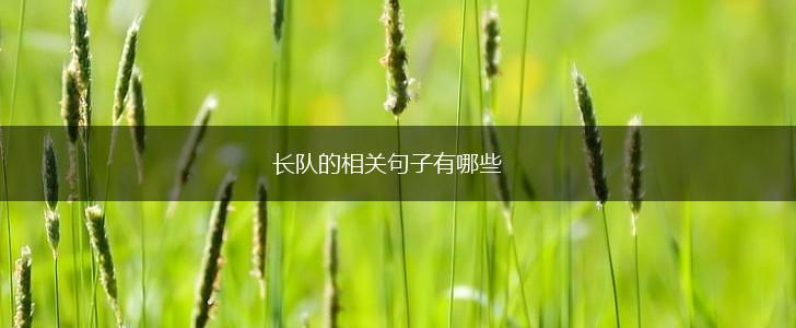 长队的相关句子有哪些,第1张
