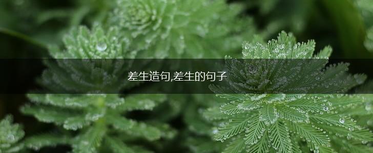 差生造句,差生的句子,第1张