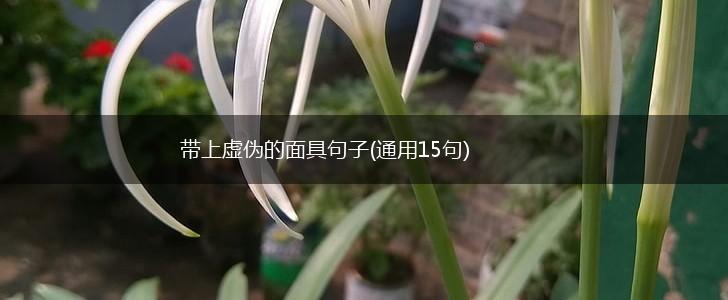 带上虚伪的面具句子(通用15句),第1张
