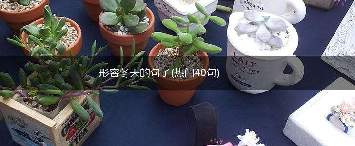 形容冬天的句子(热门40句),第1张