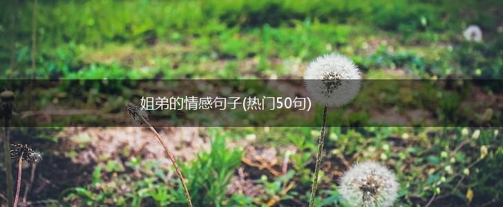 姐弟的情感句子(热门50句),第1张