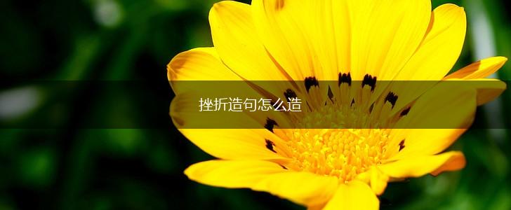 挫折造句怎么造,第1张