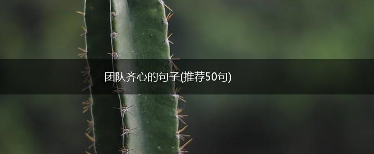 团队齐心的句子(推荐50句),第1张