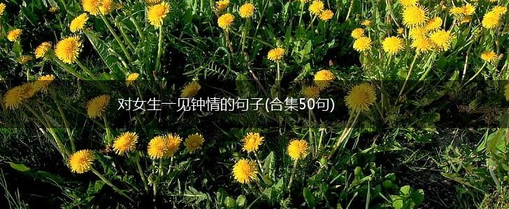 对女生一见钟情的句子(合集50句),第1张
