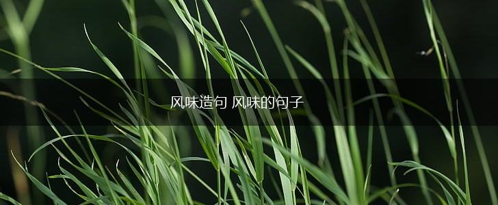 风味造句 风味的句子,第1张 风味造句 风味的句子,第1张
