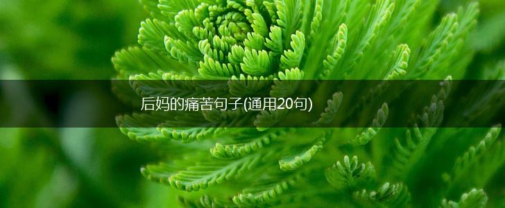 后妈的痛苦句子(通用20句),第1张
