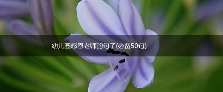 幼儿园感恩老师的句子(必备50句),第1张