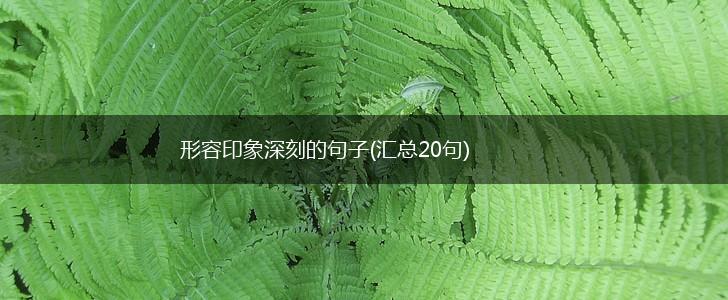 形容印象深刻的句子(汇总20句),第1张