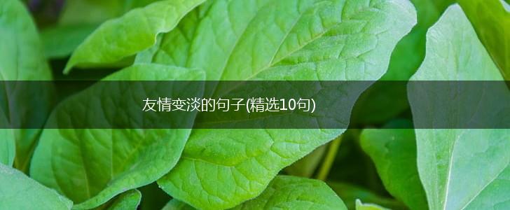 友情变淡的句子(精选10句),第1张
