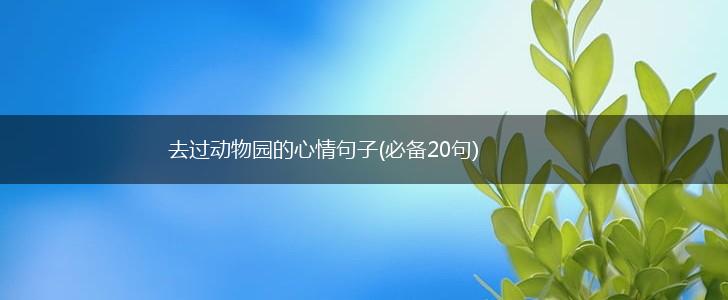 去过动物园的心情句子(必备20句),第1张