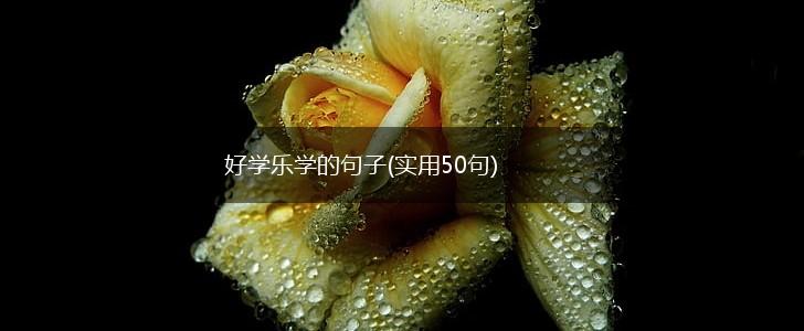 好学乐学的句子(实用50句),第1张