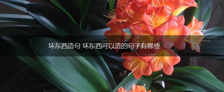 坏东西造句 坏东西可以造的句子有哪些,第1张 坏东西造句 坏东西可以造的句子有哪些,第1张