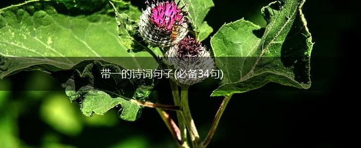 带一的诗词句子(必备34句),第1张