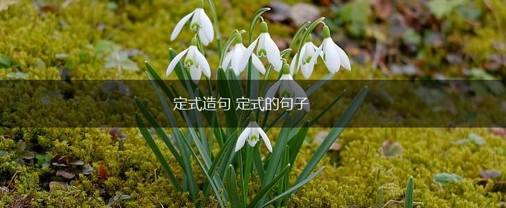 定式造句 定式的句子,第1张