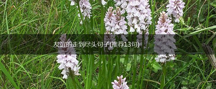 友谊的走到尽头句子(推荐13句),第1张