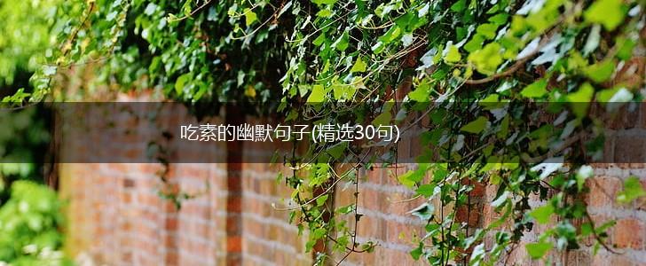吃素的幽默句子(精选30句),第1张