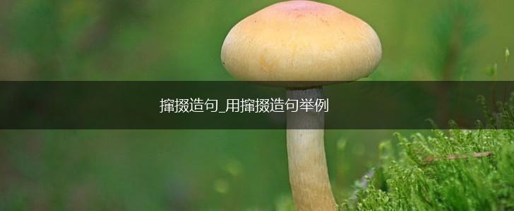 撺掇造句_用撺掇造句举例,第1张