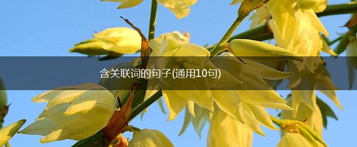 含关联词的句子(通用10句),第1张