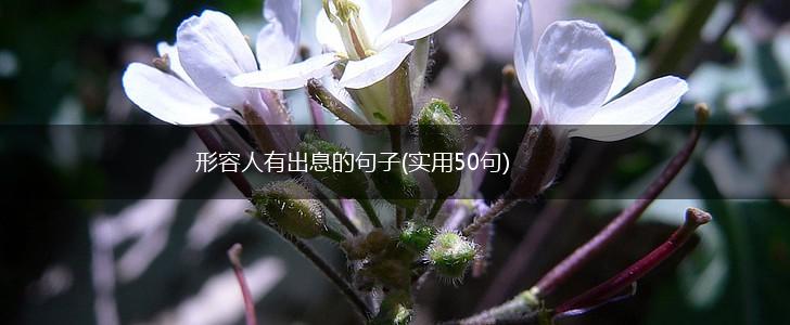 形容人有出息的句子(实用50句),第1张
