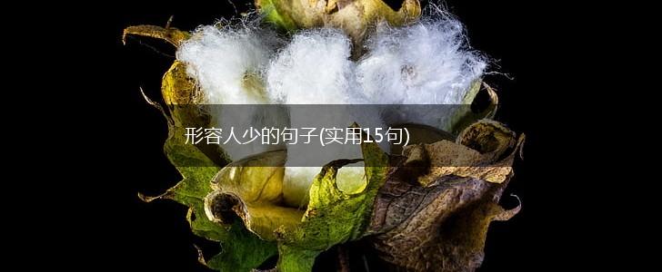 形容人少的句子(实用15句),第1张