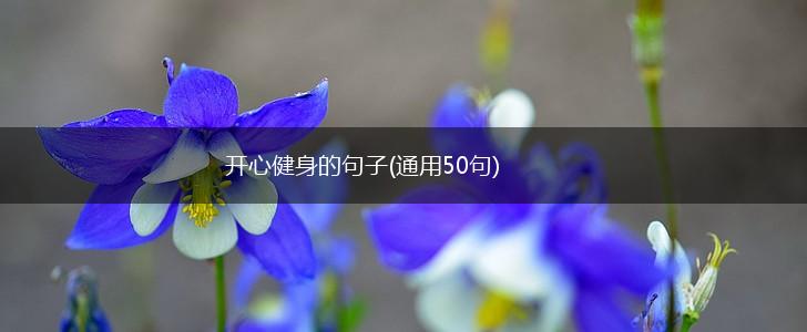 开心健身的句子(通用50句),第1张