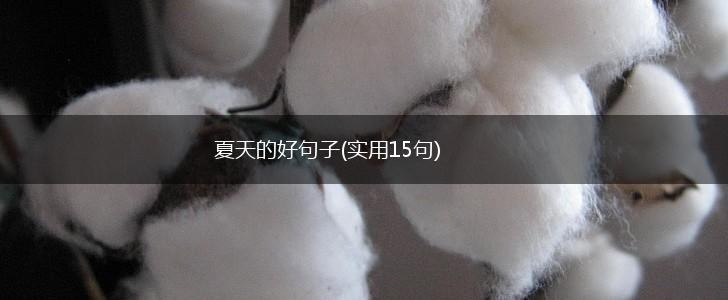 夏天的好句子(实用15句),第1张