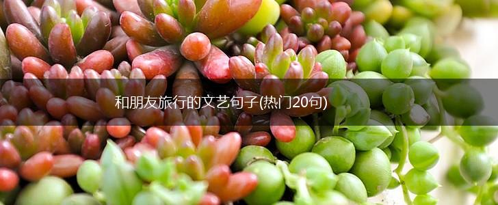 和朋友旅行的文艺句子(热门20句),第1张