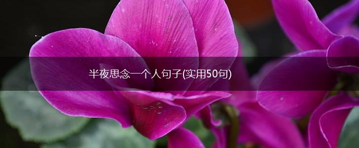 半夜思念一个人句子(实用50句),第1张