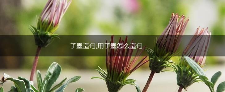 子墨造句,用子墨怎么造句,第1张